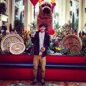 Meet your Posher, Jielin